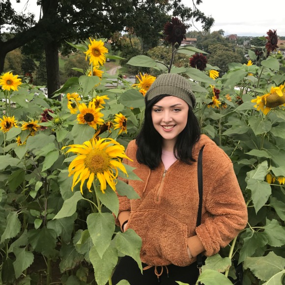 Meet your Posher, Sebby - Picture 1 of 1